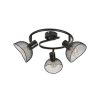 Luminaires Fabrique De Styles | Plafonnier 3 Lumieres En Metal H18Cm Mat Noir - Iris