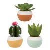 Coin Des Fleurs Fabrique De Styles | Set 3 Plantes Cactus Aloe Ocre En Plastique, Papier