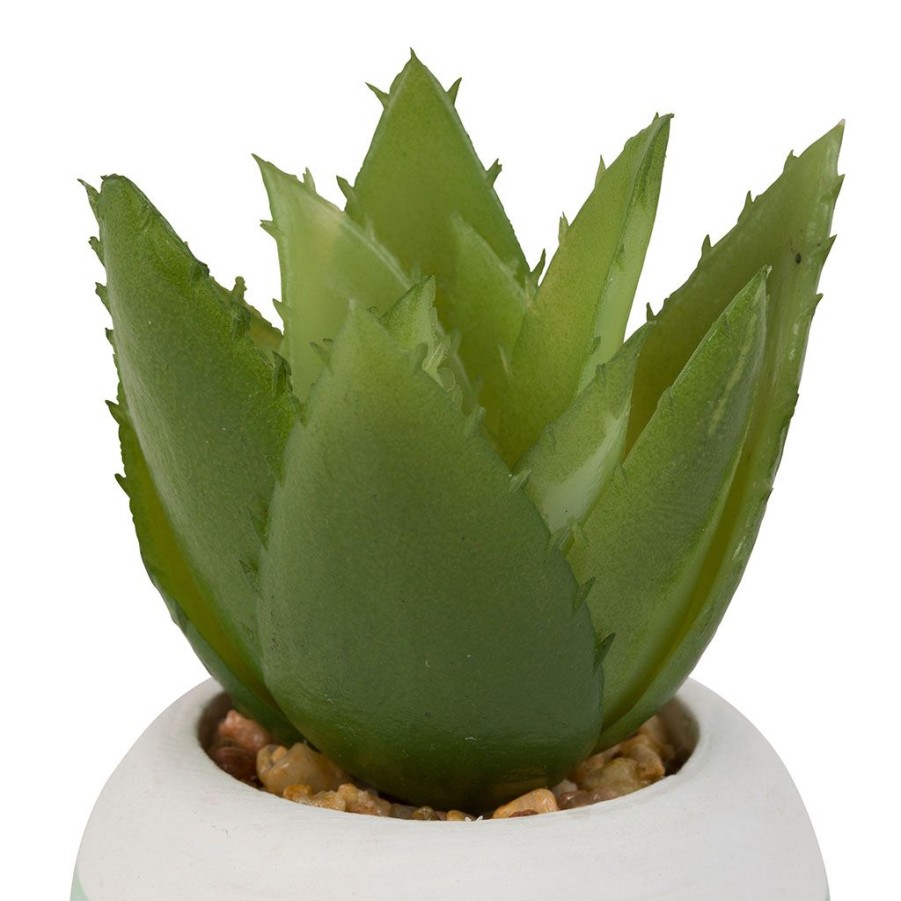 Coin Des Fleurs Fabrique De Styles | Set 3 Plantes Cactus Aloe Ocre En Plastique, Papier