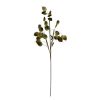 Coin Des Fleurs Fabrique De Styles | Branchage Beckia Vert Eva H105Cm