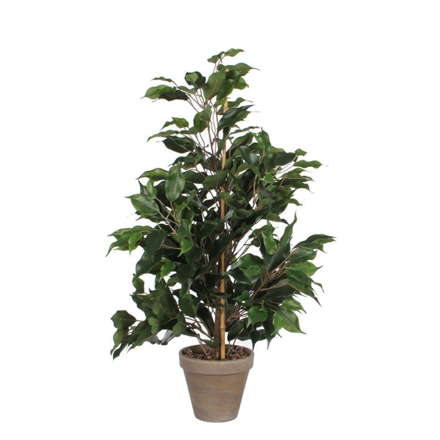 Coin Des Fleurs Fabrique De Styles | Ficus Exotica Vert En Pot Stan Gris H65Cm