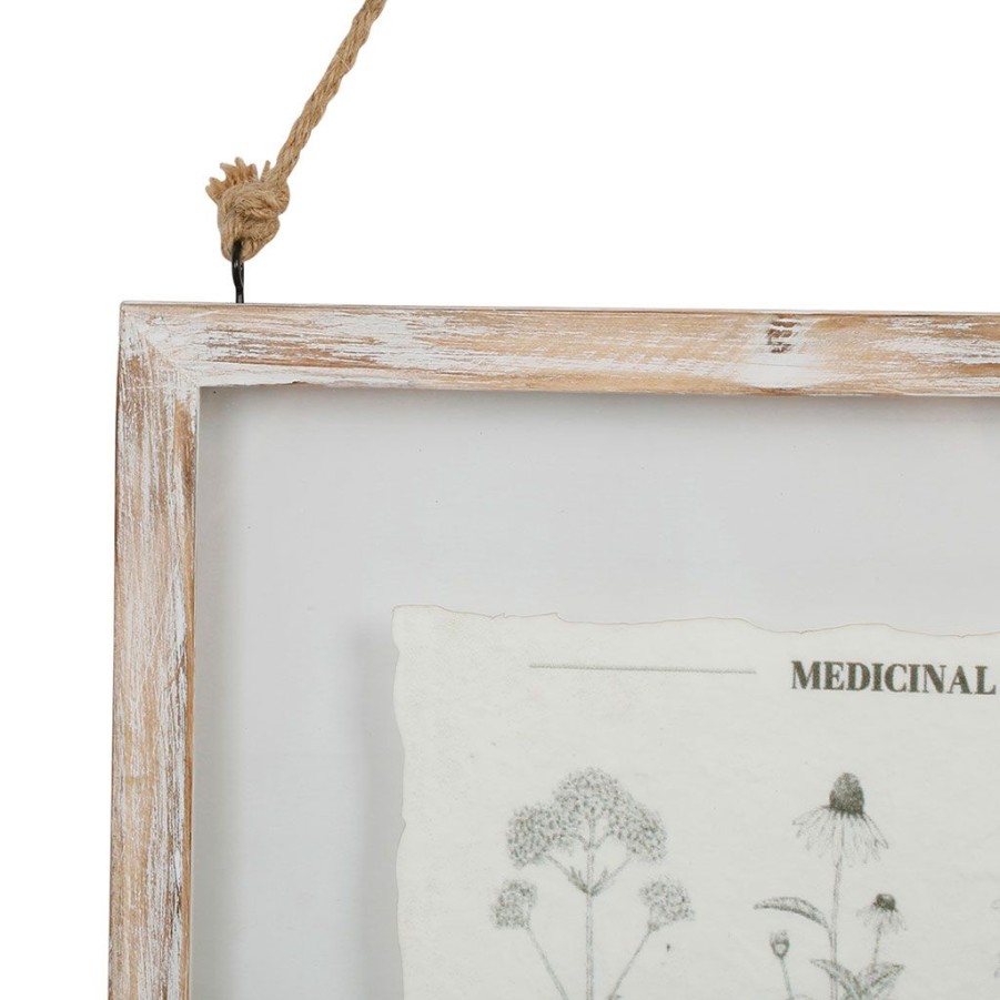 Deco Fabrique De Styles Cadres Deco Et Affiches | Cadre Deco Plante Medicinal Blanchi 33X38Cm