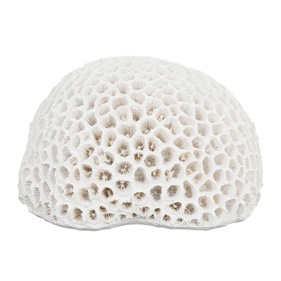 Deco Fabrique De Styles Petits Objets Deco | Deco Corail Rond Blanc - Bordemer