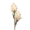 Coin Des Fleurs Fabrique De Styles | Fleur Beige Artificielle H89Cm - Fleur