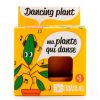 Coin Des Fleurs Fabrique De Styles | Pot D8Cm Avec Coupelle Plante Qui Danse