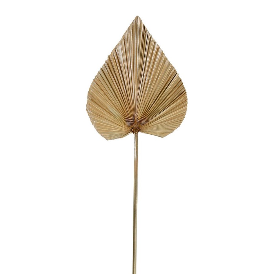 Coin Des Fleurs Fabrique De Styles | Feuille De Palmier Naturel H62Cm - Golden