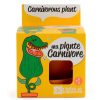 Coin Des Fleurs Fabrique De Styles | Pot D8Cm Avec Coupelle Plantes Carnivores